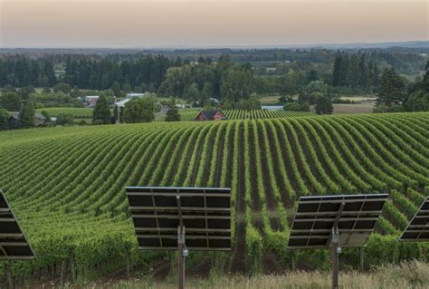 Sokol Blosser Winery - Travel Oregon