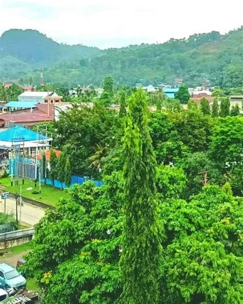 FRONT ONE GREEN BOUTIQUE HOTEL ABEPURA (Yobe) - Hotel Reviews, Photos ...