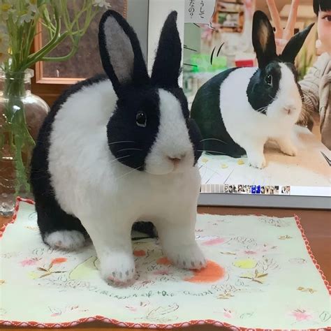Image result for Needle Felted Rabbit Tutorial
