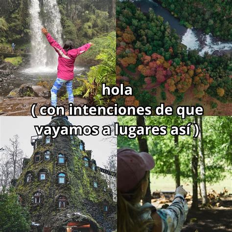 Tour Family Chile 🇨🇱🍃 | TOUR FULLDAY HUILOHUILO 17 ABRIL 2025 TREKKING🌿 ...