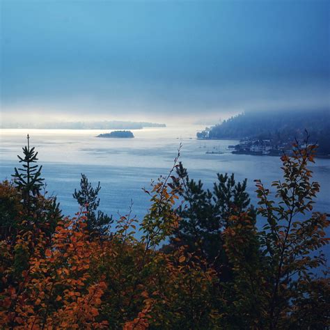 Download wallpaper 3415x3415 trees, sea, fog, landscape ipad pro 12.9 ...