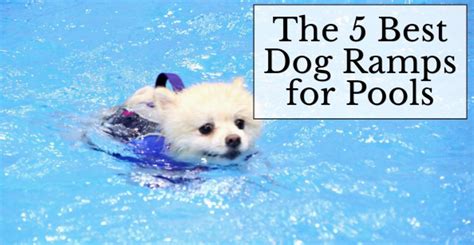 Image result for Pool Steps for Dogs