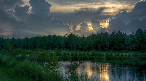 Download wallpaper forest, clouds, sunset, nature, lake, forest, Nature ...