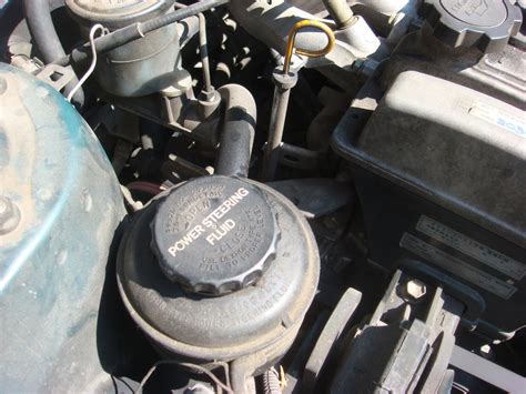 Checking and Filling Power Steering Fluid