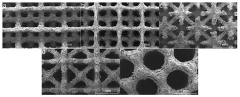A Review of Additive Manufacturing of Biodegradable Fe and Zn Alloys ...