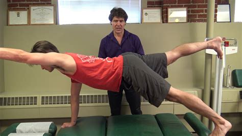 Image result for Contralateral Exercise Examples