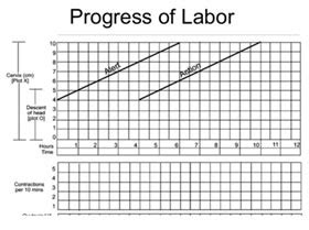 Medpulse Volume 11 Issue 2