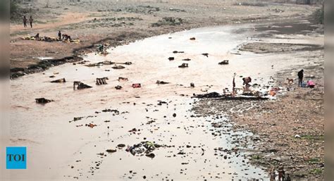 Panchkula: Ghaggar Not To Go To Waste: Pkl To Fence Bridges ...