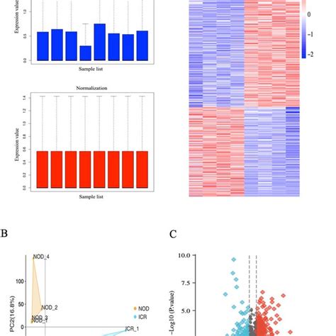 Transcriptome Procedure 的图像结果