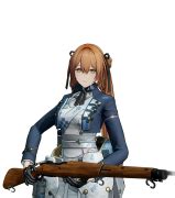 Image result for Springfield GFL