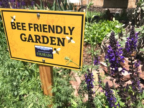 Why are bees important?