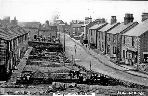 Searching Picture Sheffield