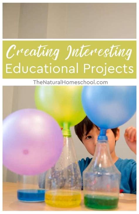 Image result for Educational Project