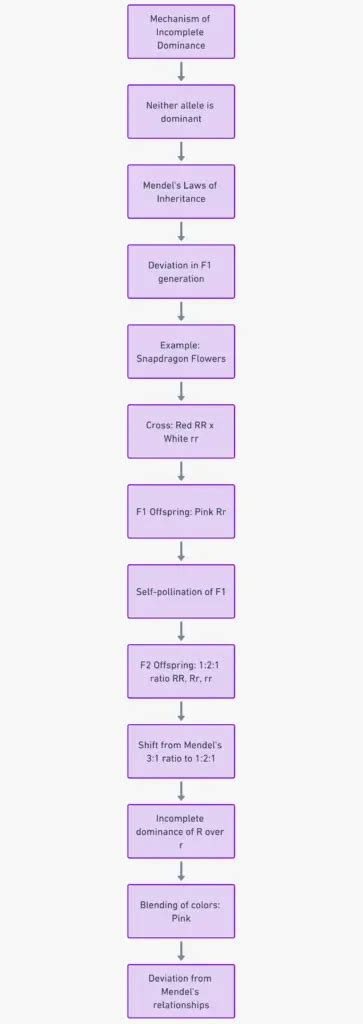 Image result for Incomplete Dominance Definition and Example