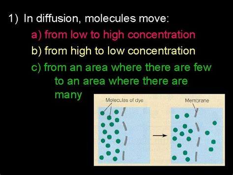 Diffusion 的图像结果