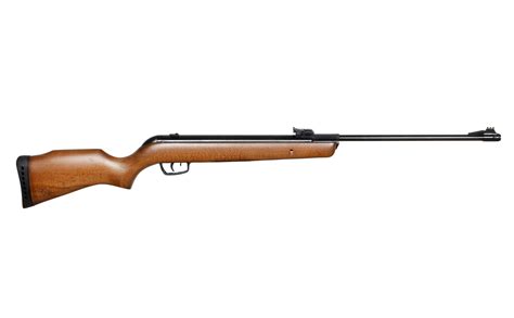Gamo Big Cat Hunter | Gamo Big Cat 1250 Scope | Cynosure