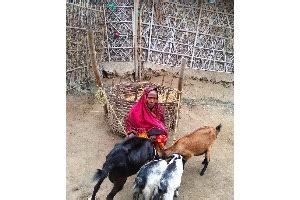 Goat Rearing Livelihood support for Poor Women - Give Fundraisers