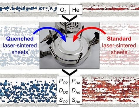 Thickness-Dependent Permeation Properties of Quenched and Standard ...