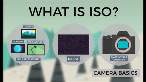 Camera ISO Explained 的图像结果