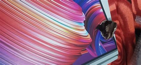 Dell S2721HN-Grey 24" FHD 1920 x 1080 Pixels @75 Hz |Minimalistic ...