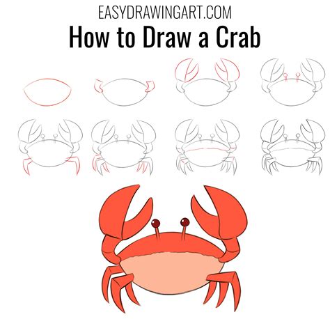 Easy Drawing Of Crab Step By Step at Autumn Allen blog