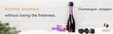 Buy YANCI® 2 Piece Champagne and 2 Piece Wine Stoppers, 2 Styles ...