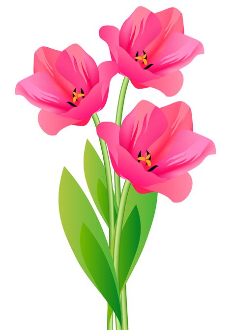 flowers starting with q