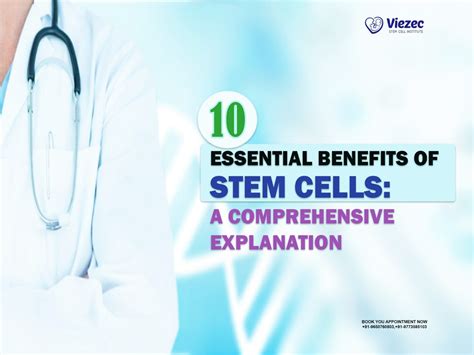 Placenta Stem Cells: Benefits, Therapy & Storage Guide