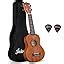 Juarez JRZ23UK/NA 23" Concert Size Ukulele Kit, AQUILA Strings, Sapele ...