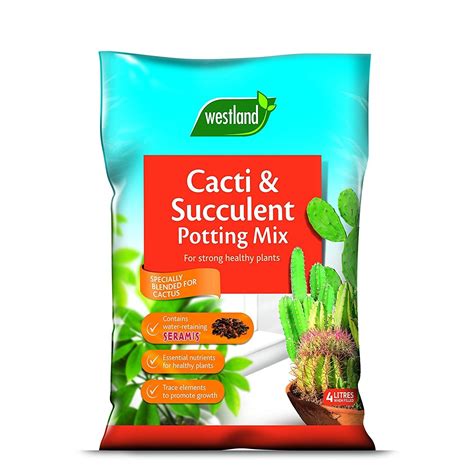 Westland Cacti & Succulent Potting Mix | Succulent Soil Cactus Compost ...