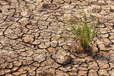 What Does The Word Famine Mean In The Bible at James Northern blog