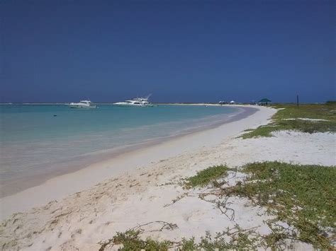 La Tortuga Tourism (2024): All You Need to Know Before You Go