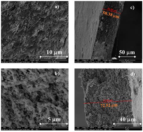 Effect of TiO2 and Al2O3 Addition on the Performance of Chitosan ...