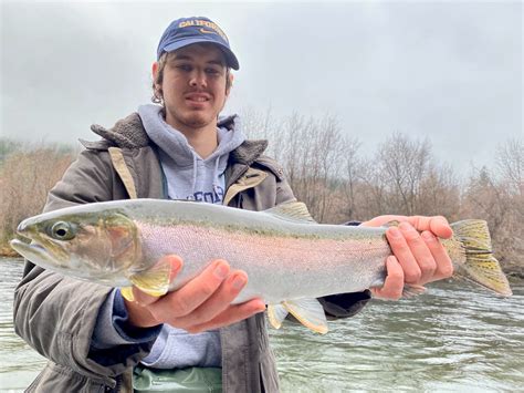 Trinity River Fish Report - Trinity River - Its Steelhead Time On The ...