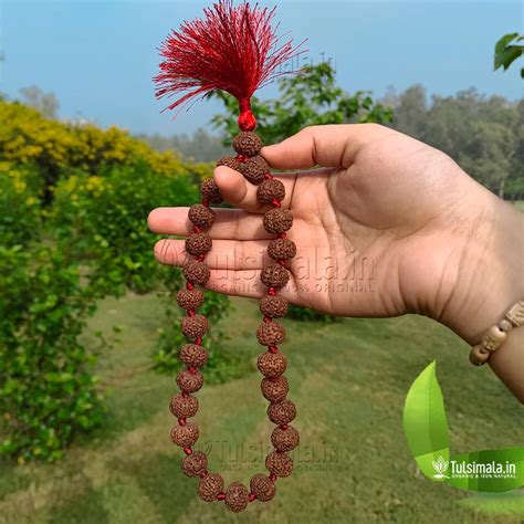 Nepal 7 Mukhi Original Rudraksha 27+1 Beads Japa Mala - Tulsi Mala