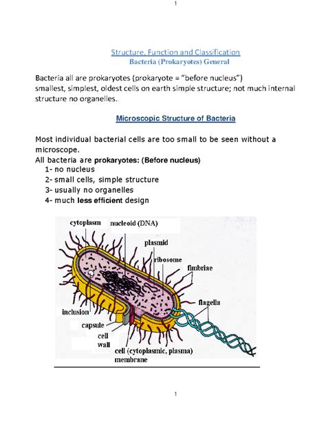 Microbiology 的图像结果