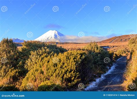 Image result for Mern Stack Developer GIF
