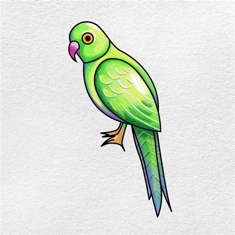 Image result for How to Draw Simple Parrot