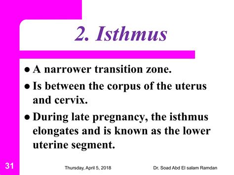 Anatomy of the female reproductive system | PDF - isthmus of uterus