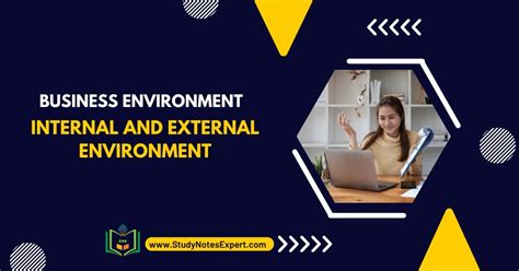 Image result for Types of Business Environment