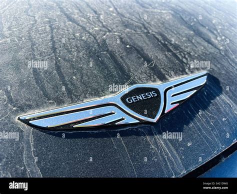 Kyiv, Ukraine - March 10, 2025: Genesis car logo depicted on a dusty vehicle in well-lit outdoor ...