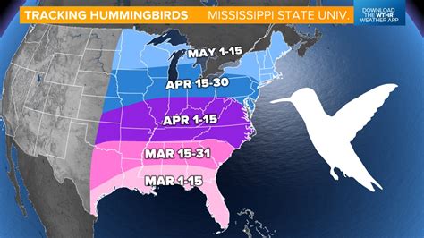 Image result for Hummingbird Migration Tracking Map