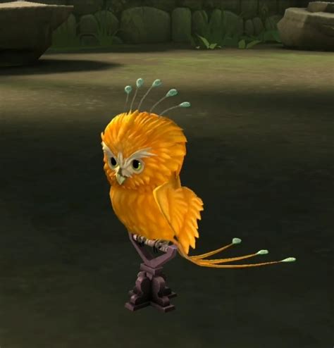 Hogwarts Legacy Fwooper Locations Map Den How To Catch, 56% OFF