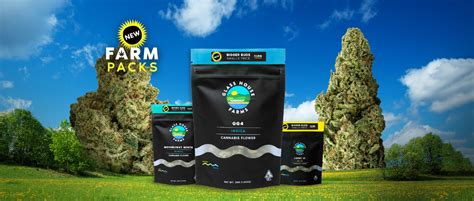 Glass House Farms Garlic Starship at Patricia Henderson blog