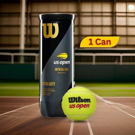 Wilson US Open Extra Duty Tennis Balls (1 Can) – Prokicksports