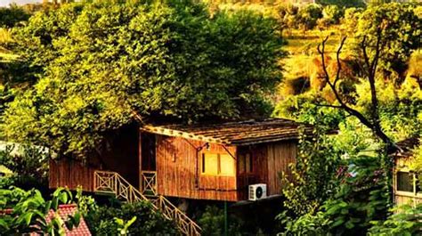 Want to Stay in a Tree House? Then Check Out These 10 Resorts in India