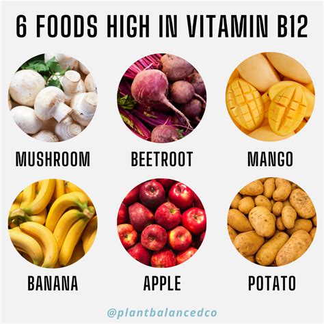 Foods rich in b12 – Artofit