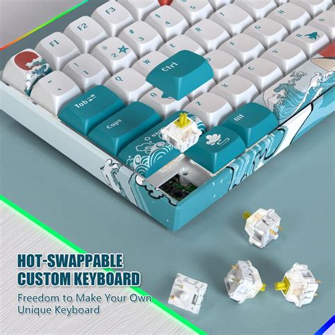 COSTOM XVX M84 Compact Wireless/Wired Mechanical India | Ubuy