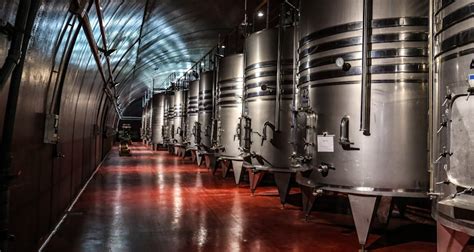 OM Industries: Leading Biomanufacturing Solutions for Innovation | om ...