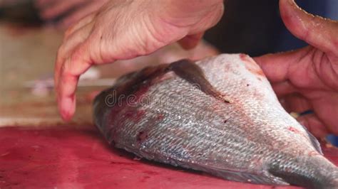 Image result for Methods of Cooking Fish